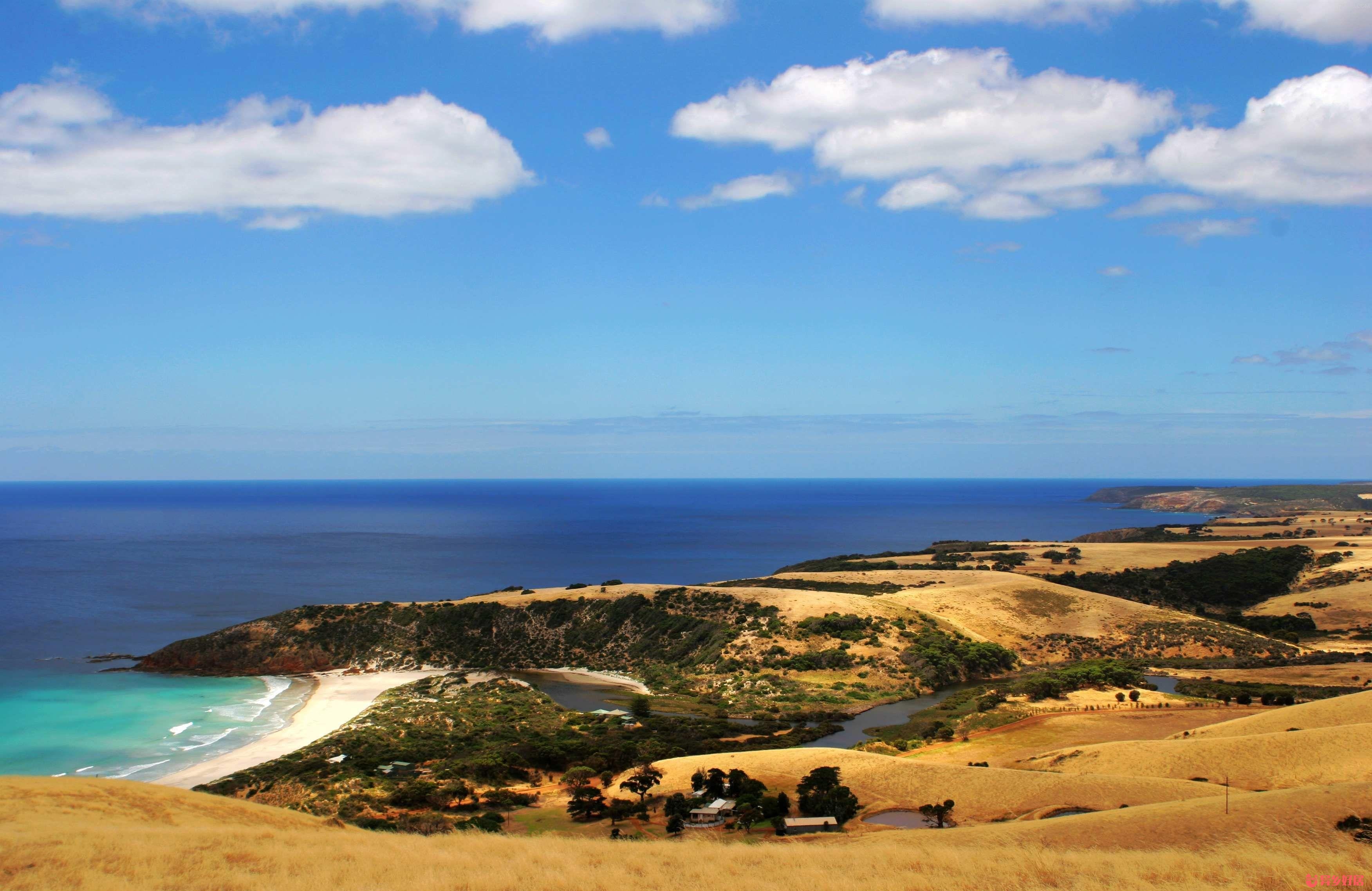 新南威尔士大学UNSW 2026 Term 3 本科申请关闭，硕士仍可递交