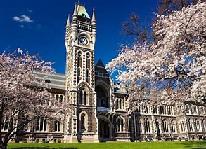 福州留学新视角：国内 3 年本科&ldquo;加速&rdquo;，新西兰留学&ldquo;破局&rdquo;，你的人生抉择