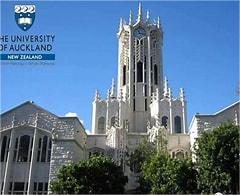 别再卷&ldquo;本升专&rdquo;，福州留学选新西兰，1年逆袭还能移民